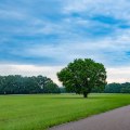 Exploring the Average Commute Time for Residents of Harrison County, Mississippi